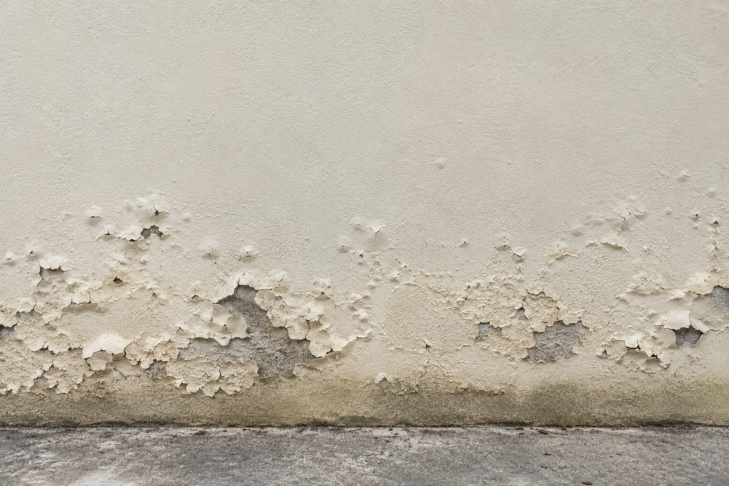 Blistered and peeling exterior paint at the base of a rendered wall